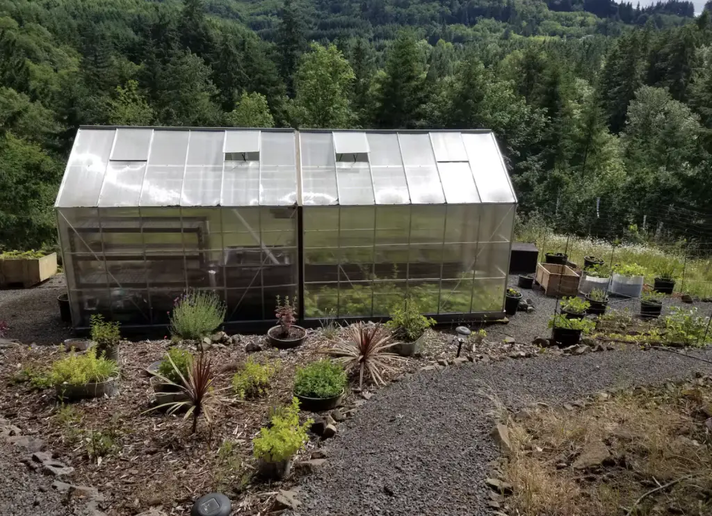 Highland & Co. Acres greenhouse surrounded by garden beds and plants in Pacific Northwest forest setting - sustainable farming practices