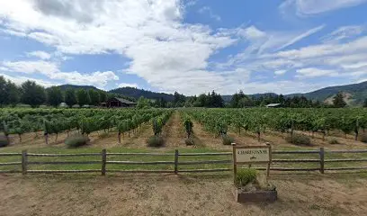 Aerial view of Stave and Stone Winery with extensive vineyard rows and tasting room - premium wine destination near Highland & Co. Acres