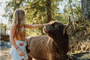 Highland & Co. Acres Guest Experience - Interactive Highland Cattle Encounters Featured in Wander in RAW