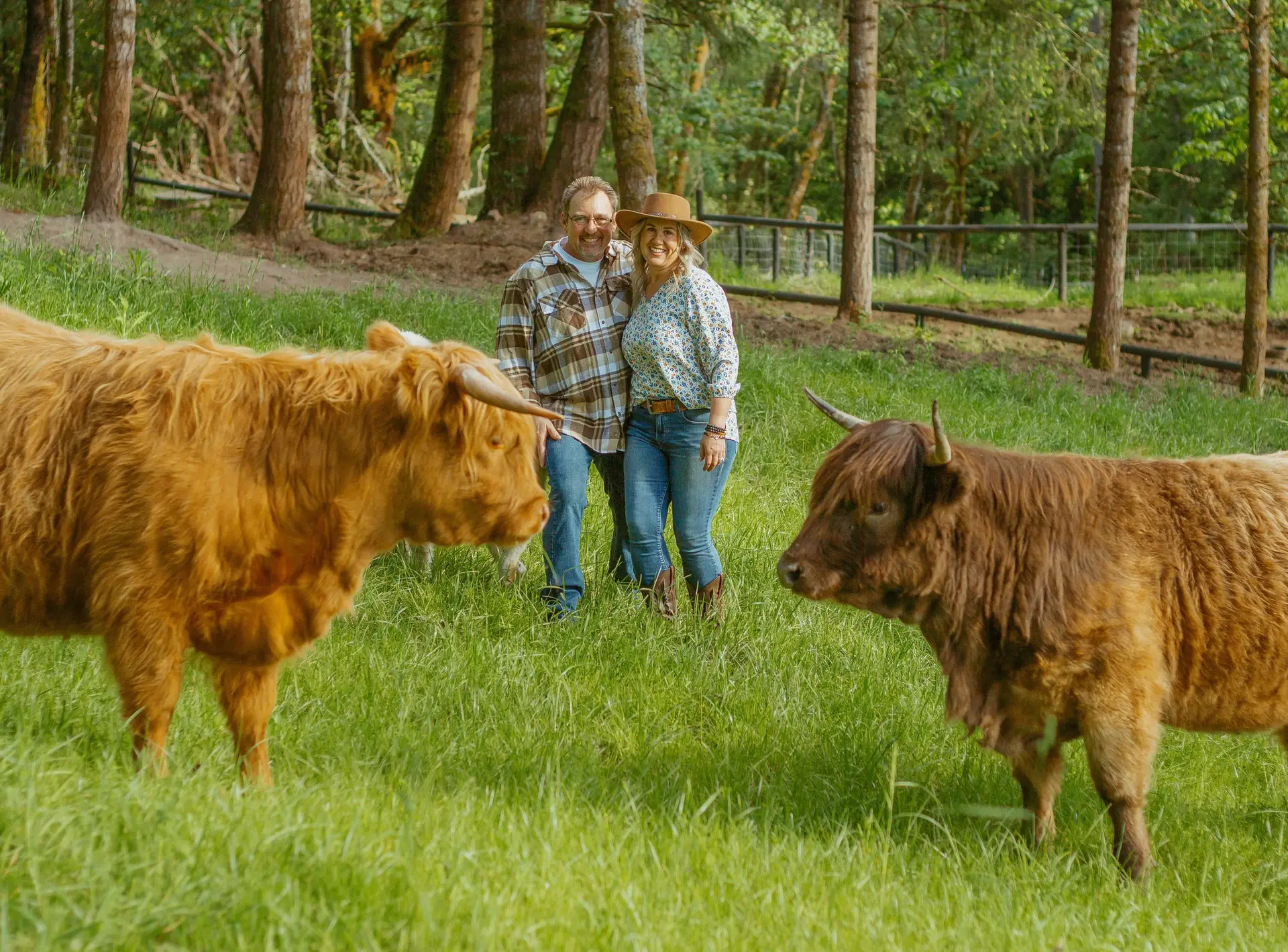 Jaimie and Dave Hinckle smiling together surrounded by red and golden AHCA-registered Highland cattle in a fenced green pasture at Highland & Co. Acres in Washington