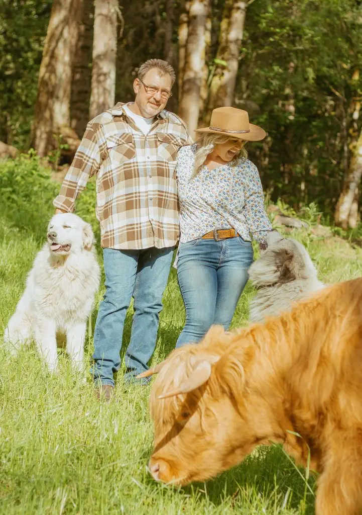 Why We Chose Highland Cattle (And Why It Didn’t Go the Way We Thought)