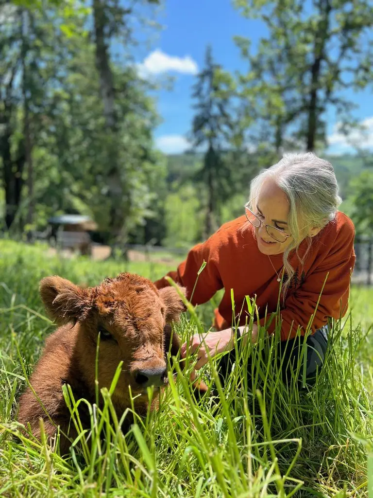 Calving Season, Four Years In: What We Thought It Would Be…and What It Actually Is